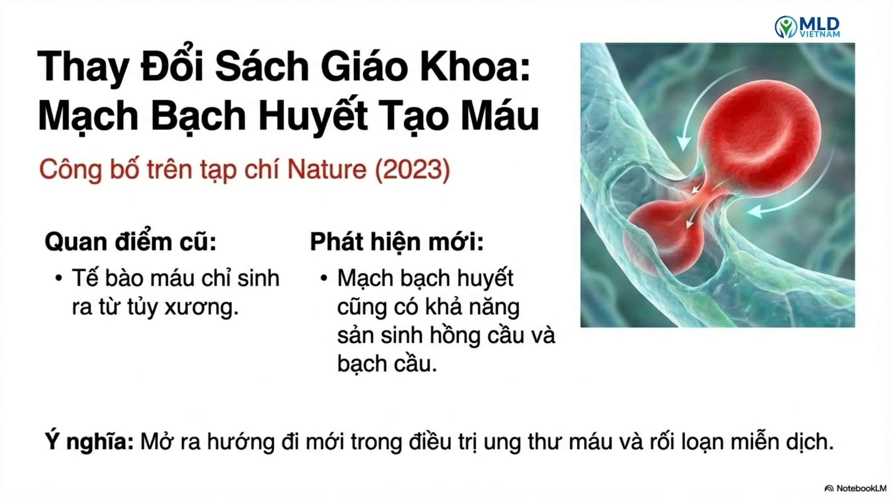 Tế bào nội mô bạch huyết (lymphatic endothelial cells – LECs) có thể mang tiềm năng tạo tế bào máu như thế nào?